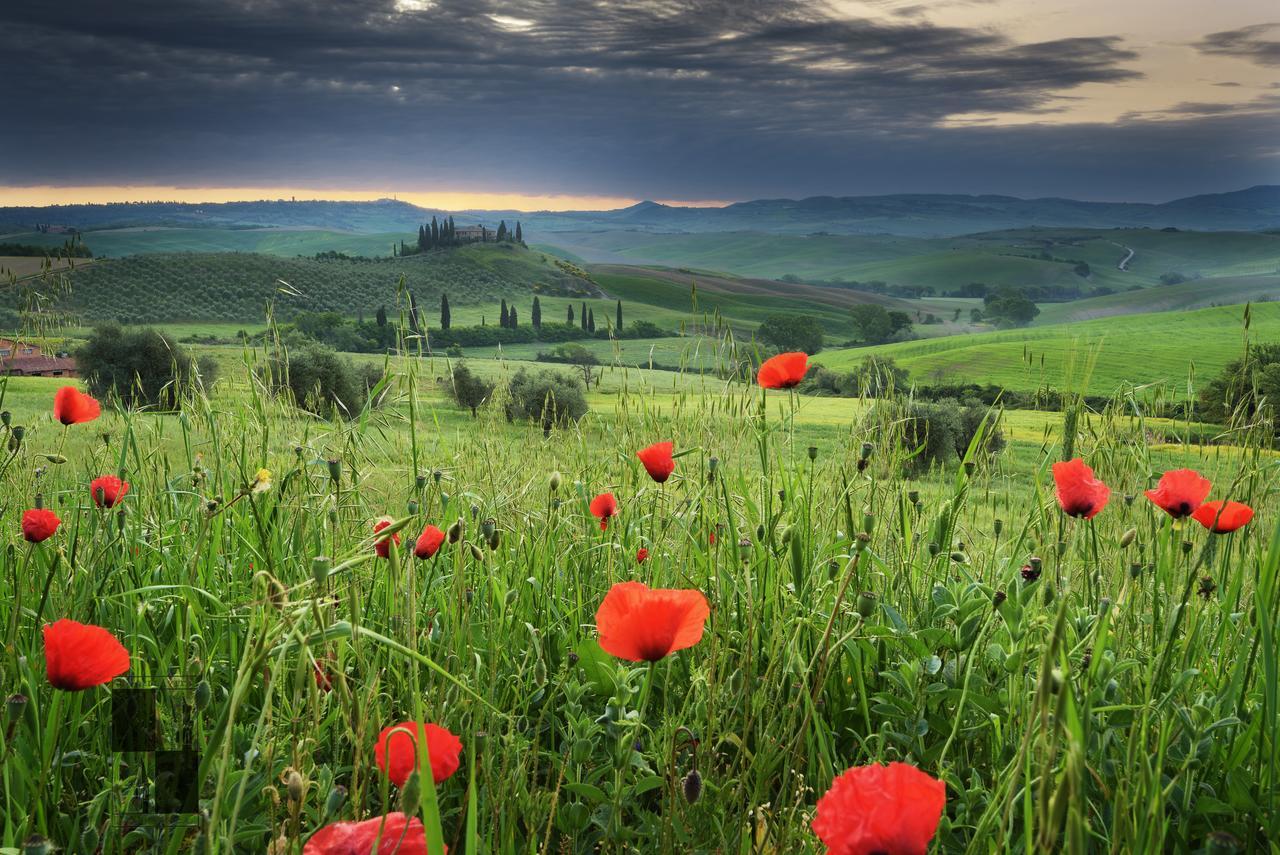 La Bellavita B&B Pienza Exteriér fotografie