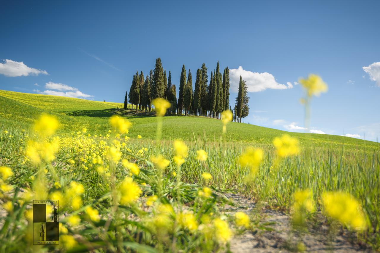 La Bellavita B&B Pienza Exteriér fotografie